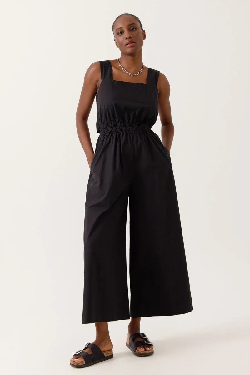 Mono Negro Sylena