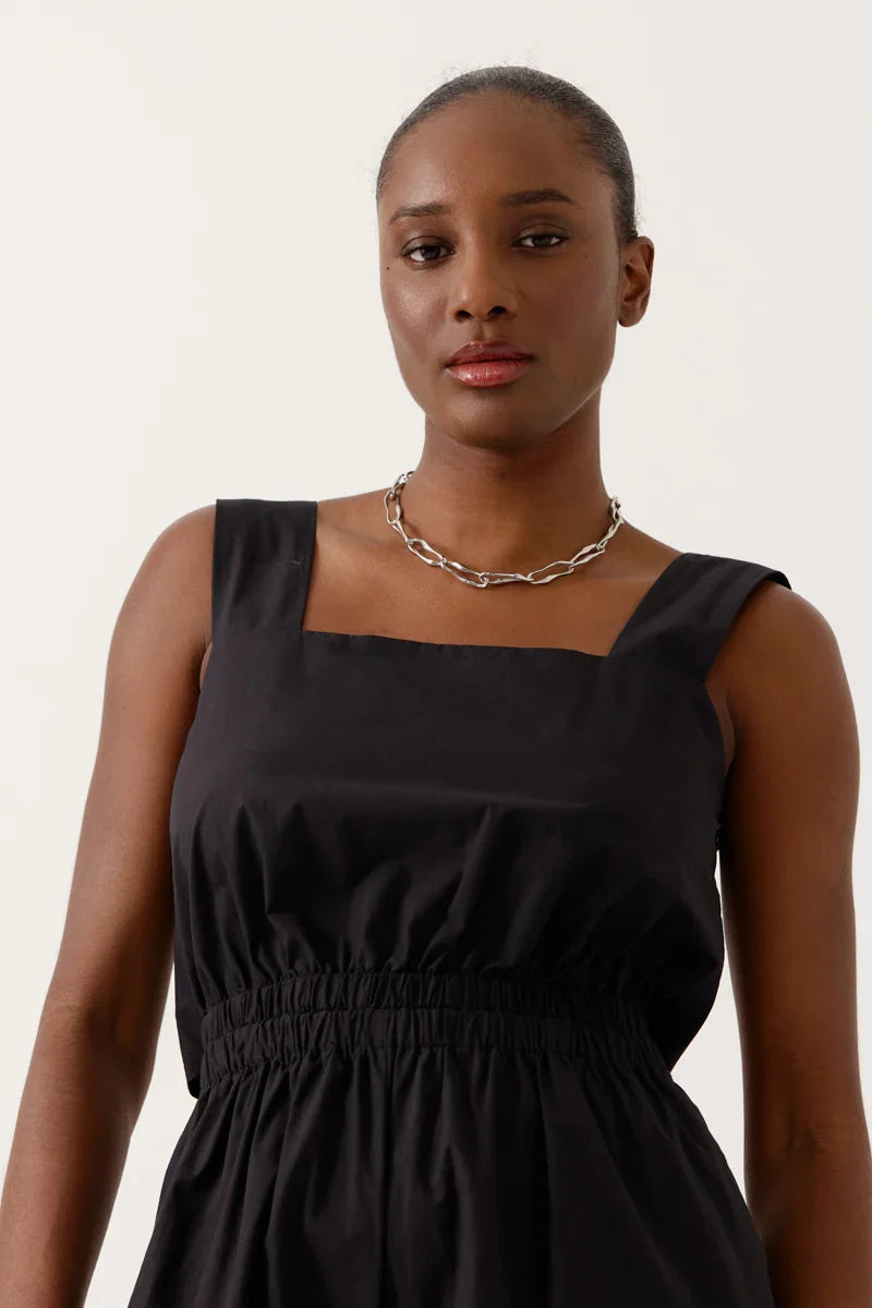 Mono Negro Sylena