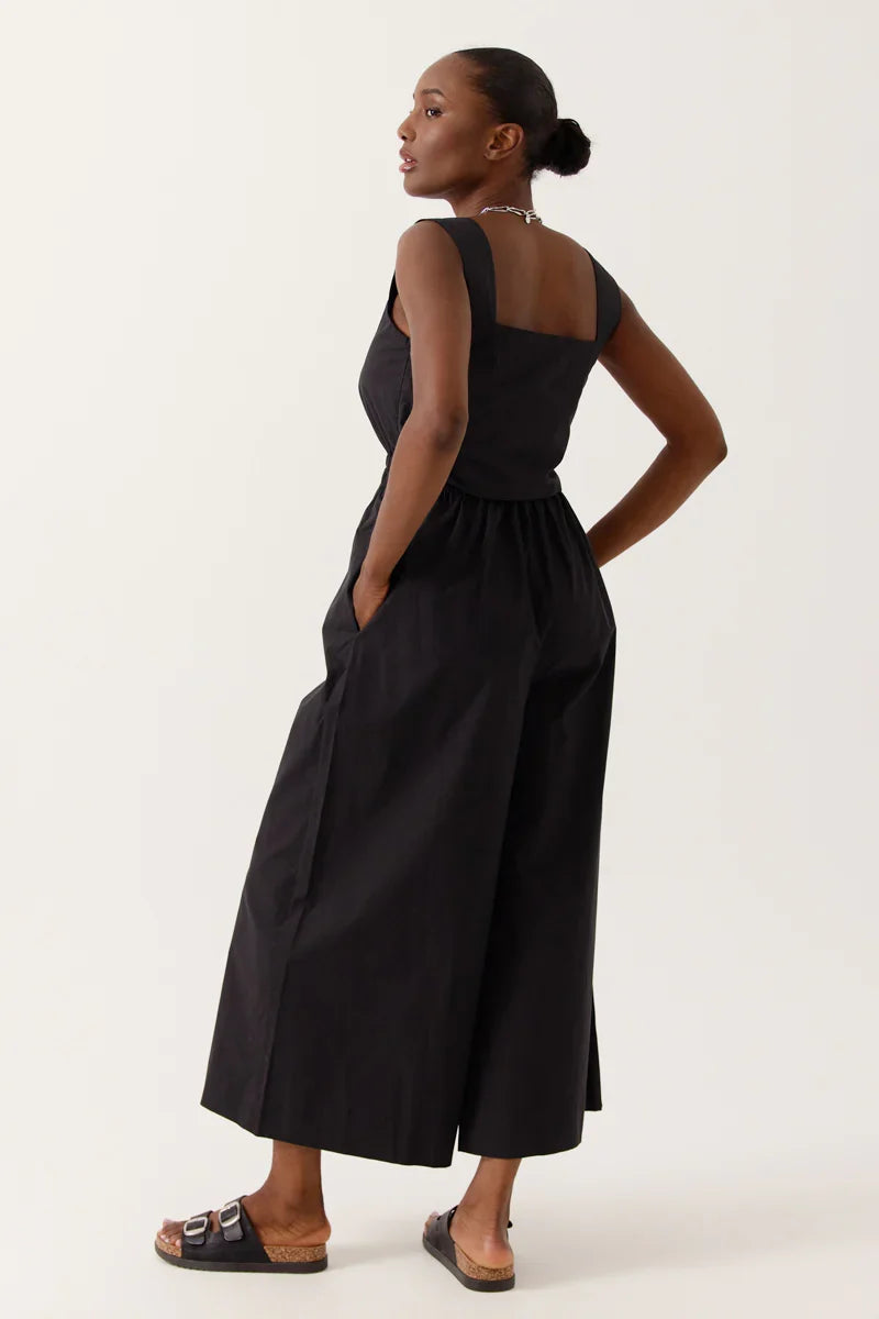 Mono Negro Sylena