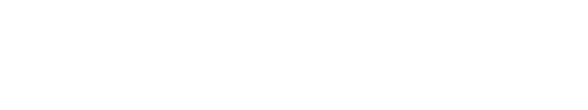 HELMET HOUSE